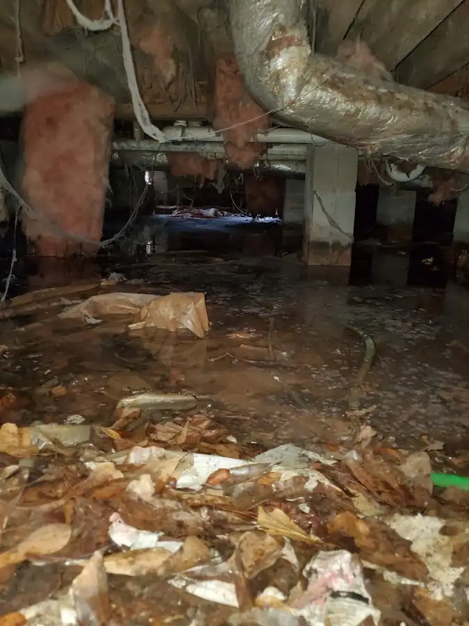 Crawl space flood assessment for Leak Detection & Repair in Sacramento